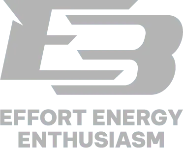 e3 logo design